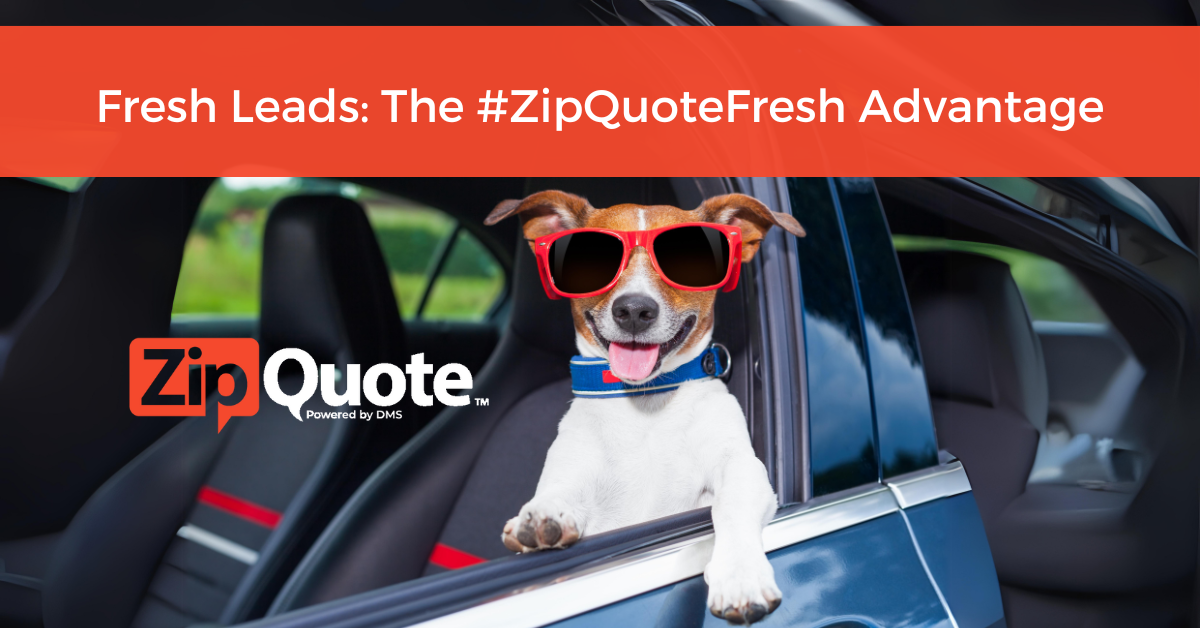Fresh Leads: The #ZipQuoteFresh Advantage By ZipQuote